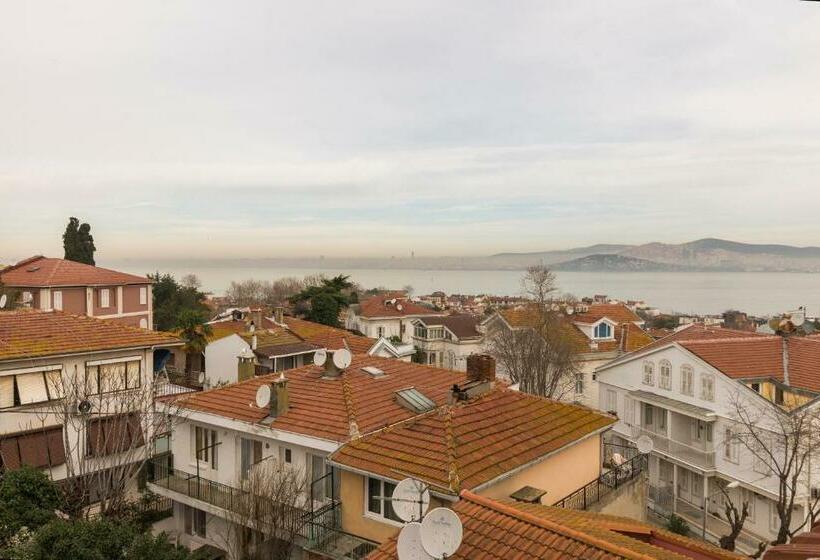 Полулюкс Повышенной Комфортности, Büyükada Anastasia Meziki History Mansion