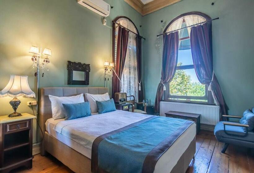 Полулюкс Повышенной Комфортности, Büyükada Anastasia Meziki History Mansion