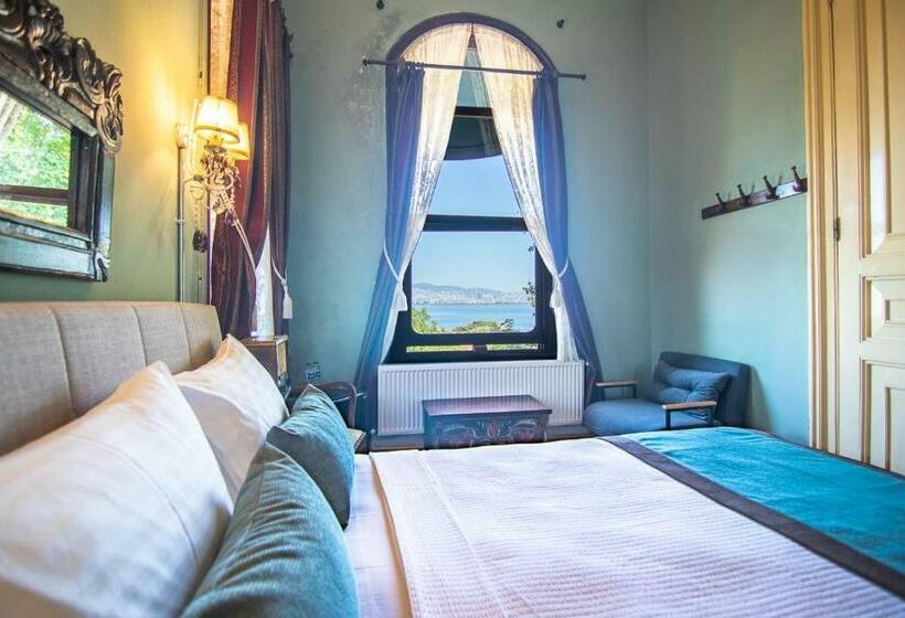 Полулюкс Повышенной Комфортности, Büyükada Anastasia Meziki History Mansion