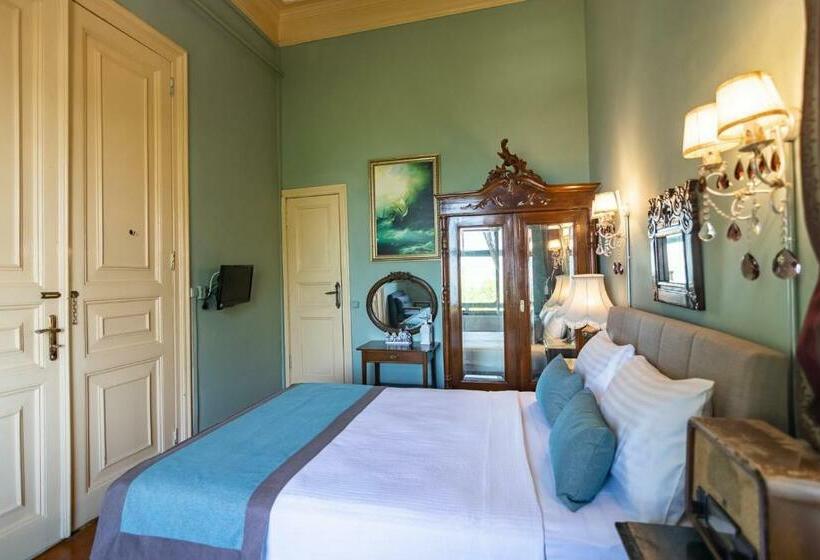 Полулюкс Повышенной Комфортности, Büyükada Anastasia Meziki History Mansion