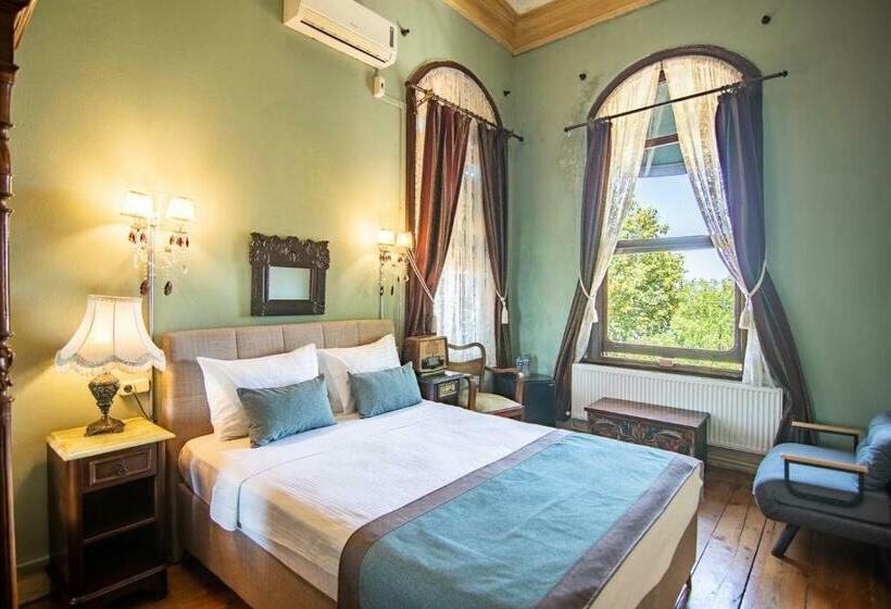 Полулюкс Повышенной Комфортности, Büyükada Anastasia Meziki History Mansion