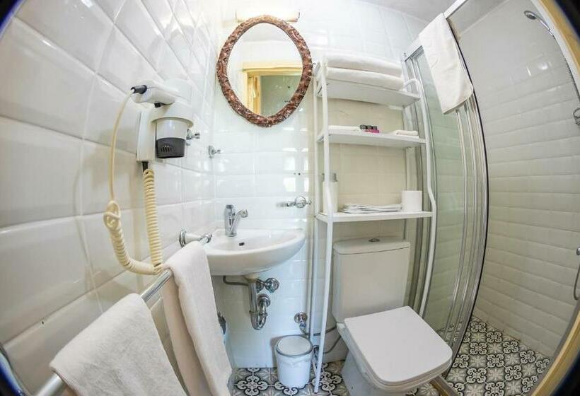 Полулюкс Повышенной Комфортности, Büyükada Anastasia Meziki History Mansion