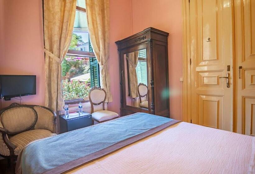 Номер Superior, Büyükada Anastasia Meziki History Mansion