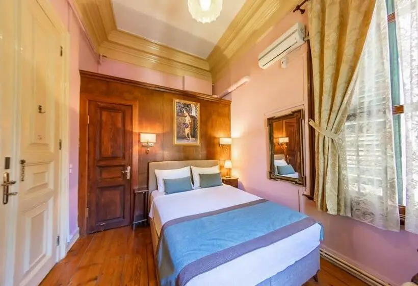 スーペリアールーム, Büyükada Anastasia Meziki History Mansion