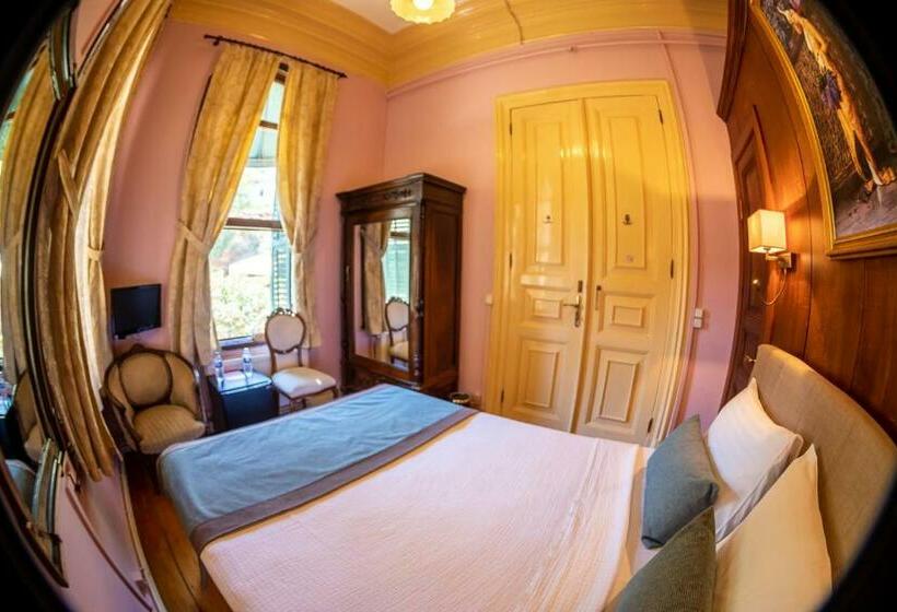 Номер Superior, Büyükada Anastasia Meziki History Mansion