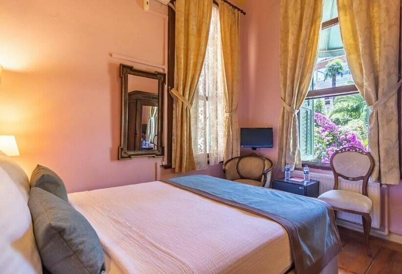 Номер Superior, Büyükada Anastasia Meziki History Mansion