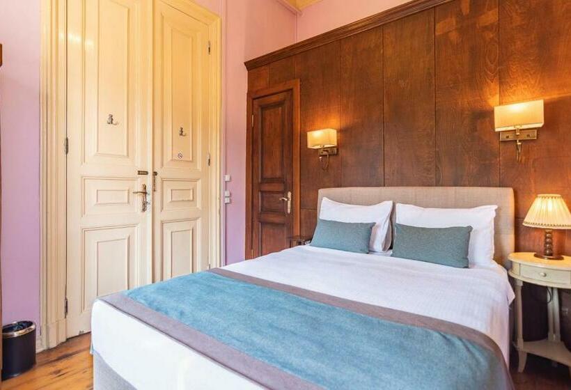 Номер Superior, Büyükada Anastasia Meziki History Mansion