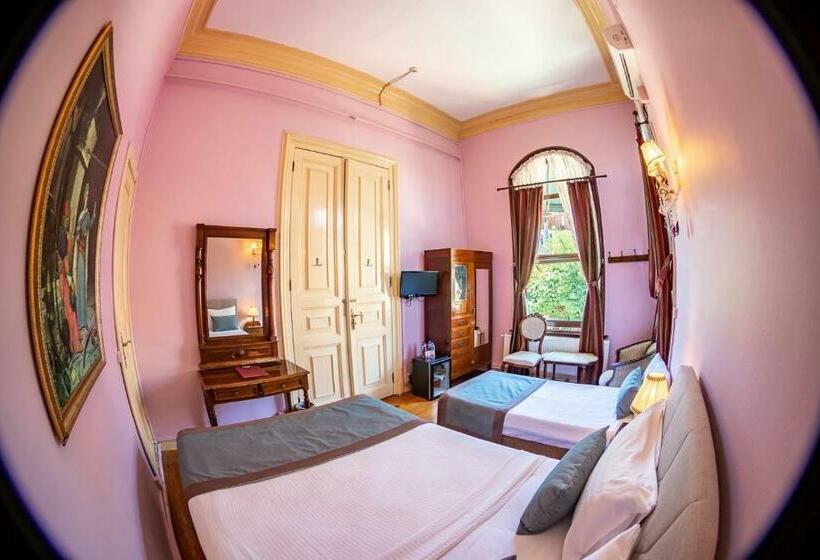 Трехместный Номер Стандарт Вид на Сад, Büyükada Anastasia Meziki History Mansion