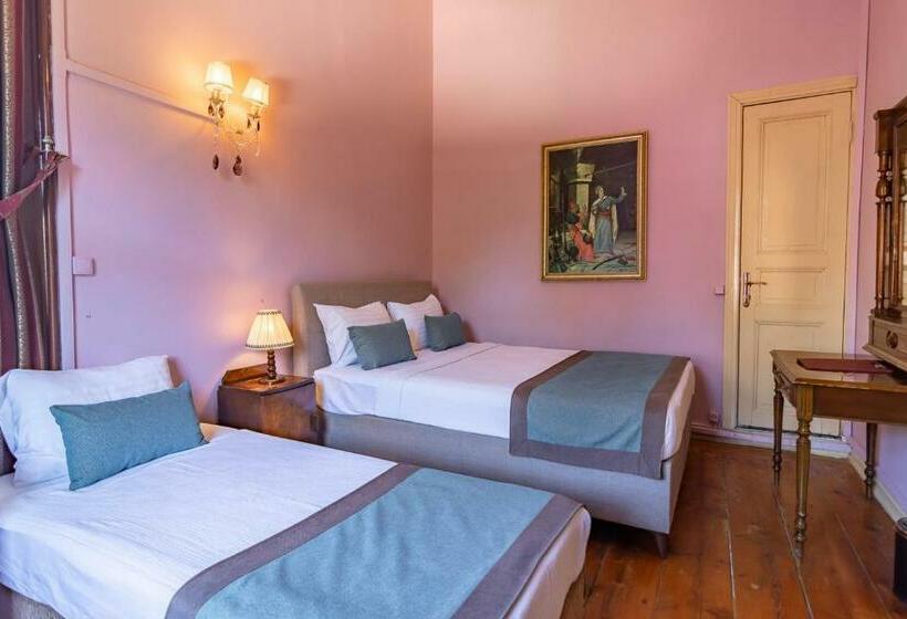 Трехместный Номер Стандарт Вид на Сад, Büyükada Anastasia Meziki History Mansion