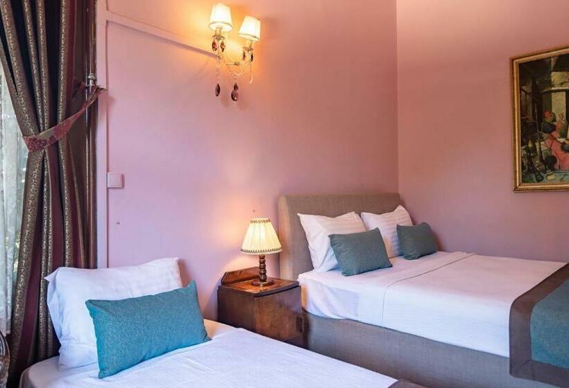 Трехместный Номер Стандарт Вид на Сад, Büyükada Anastasia Meziki History Mansion