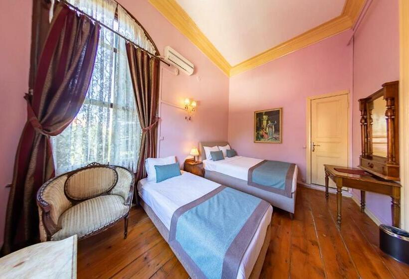 Трехместный Номер Стандарт Вид на Сад, Büyükada Anastasia Meziki History Mansion