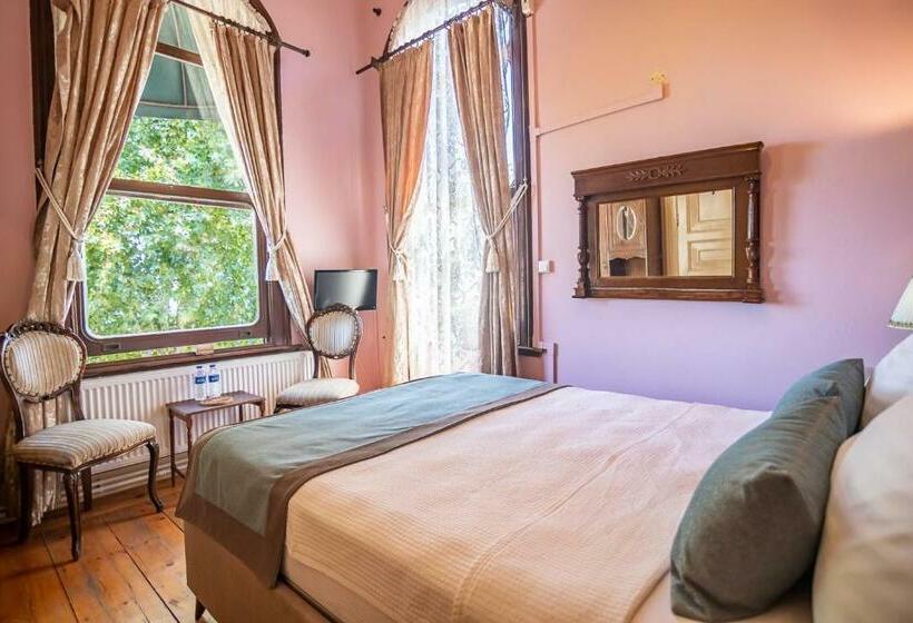 Номер Стандарт Вид на Море, Büyükada Anastasia Meziki History Mansion