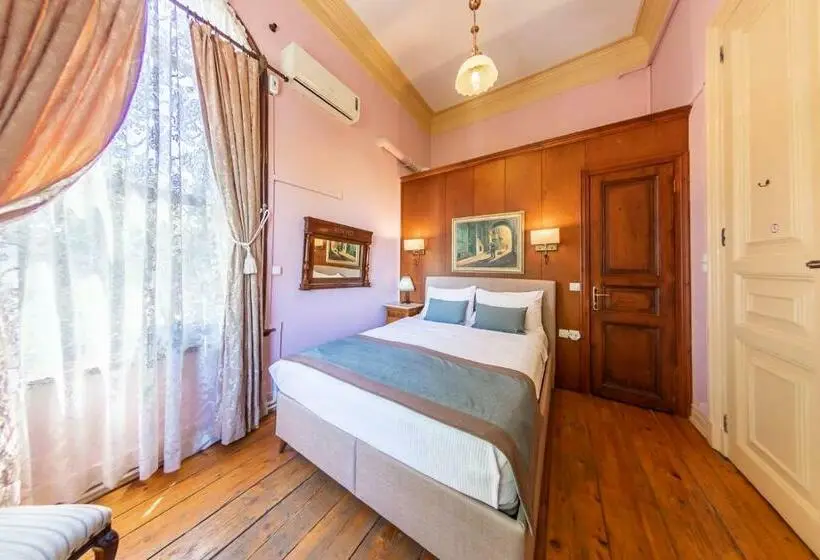 オーシャンビュースタンダードルーム, Büyükada Anastasia Meziki History Mansion