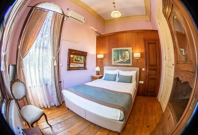 オーシャンビュースタンダードルーム, Büyükada Anastasia Meziki History Mansion