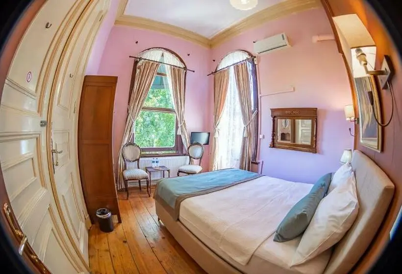 オーシャンビュースタンダードルーム, Büyükada Anastasia Meziki History Mansion