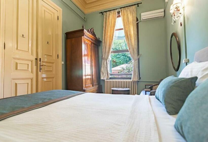 Номер Стандарт, Büyükada Anastasia Meziki History Mansion