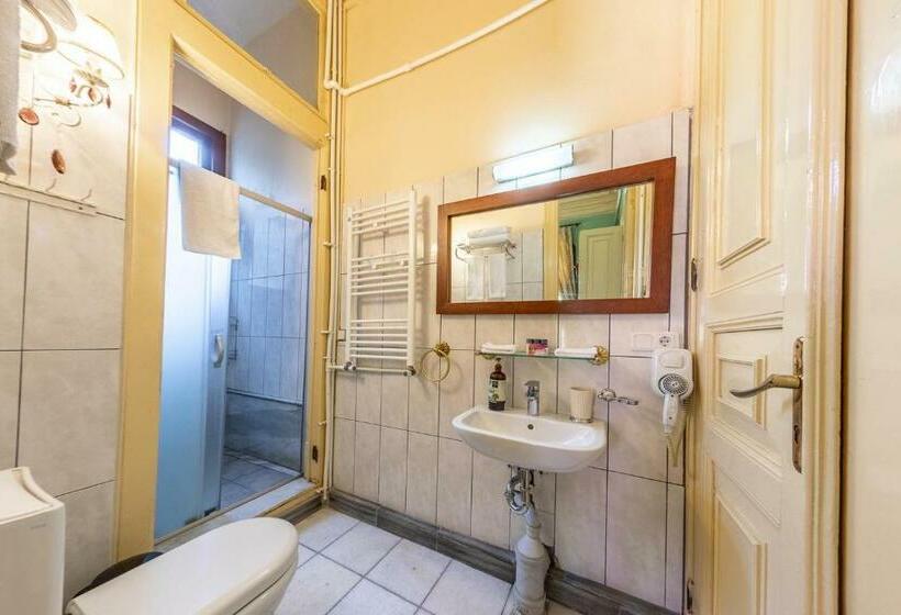 Номер Стандарт, Büyükada Anastasia Meziki History Mansion