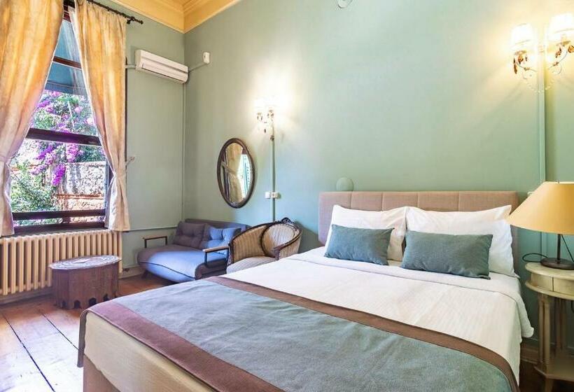 Номер Стандарт, Büyükada Anastasia Meziki History Mansion