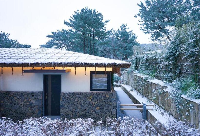 スタンダードルーム, Amber Pure Hill Hotels & Resorts Jeju