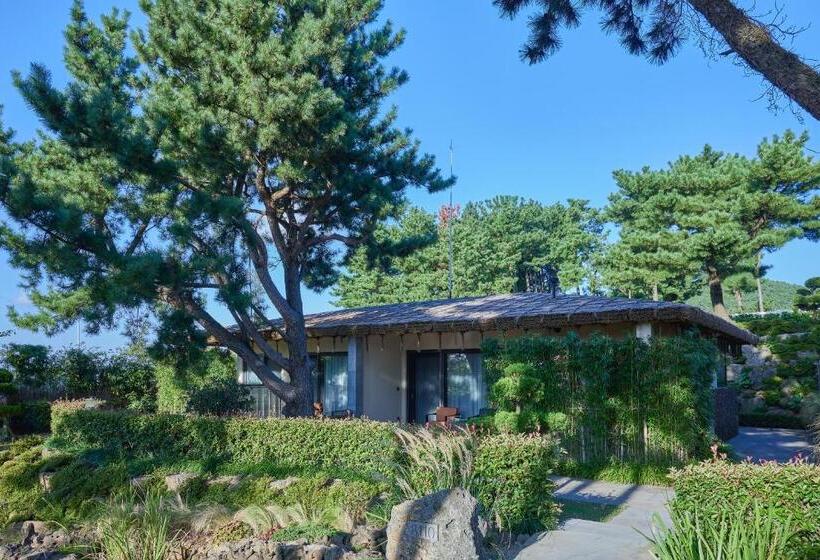 Номер Стандарт, Amber Pure Hill Hotels & Resorts Jeju