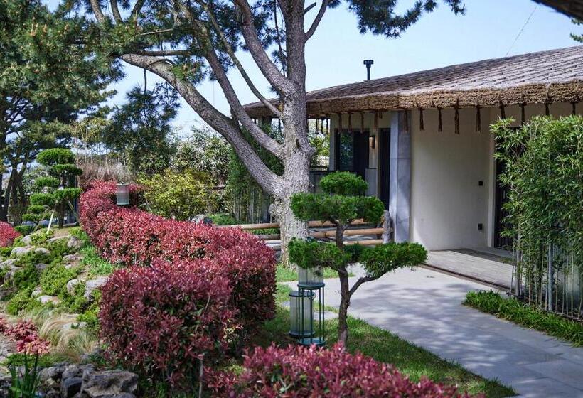 スタンダードルーム, Amber Pure Hill Hotels & Resorts Jeju