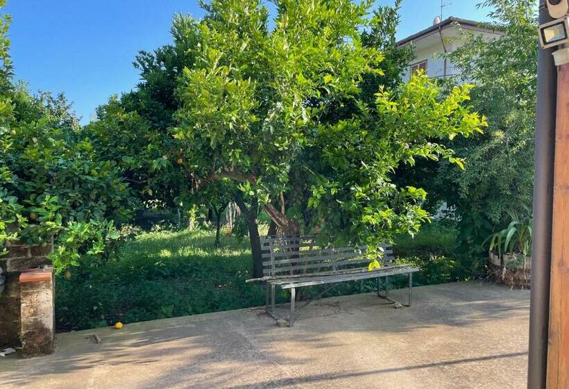 Номер Стандарт с Террасой, Mezzaluna Guest House