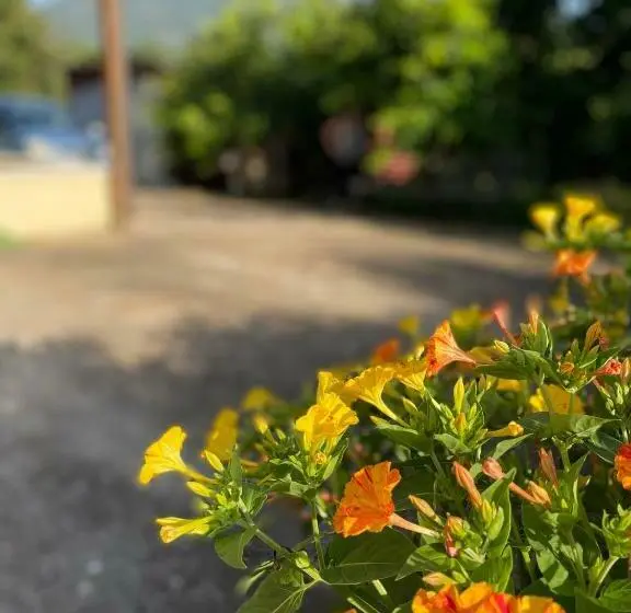 キングサイズベッドのスタンダードルーム, Mezzaluna Guest House