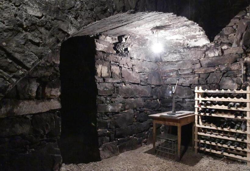 شقة سوبريور غرفة واحدة, Valtlhof   Apt 2