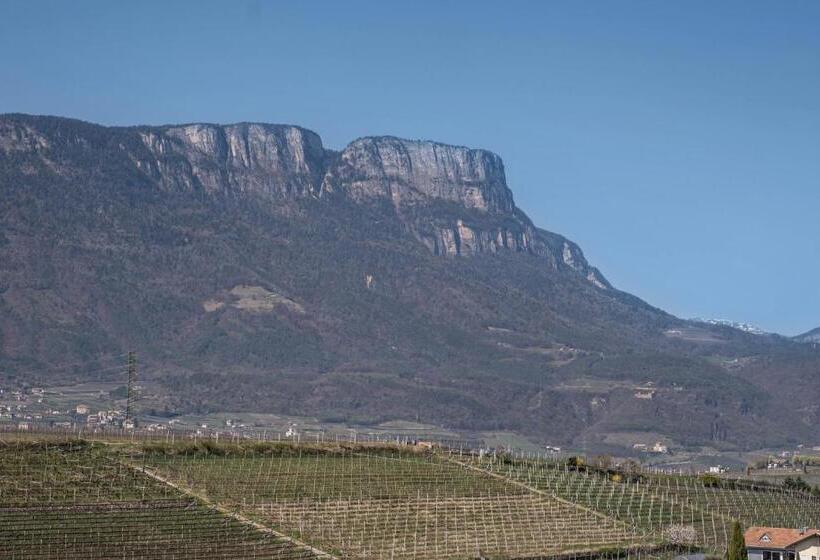 شقة سوبريور غرفة واحدة, Valtlhof   Apt 2