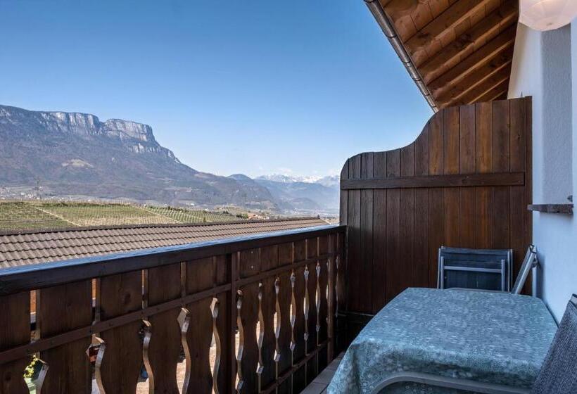 شقة سوبريور غرفة واحدة, Valtlhof   Apt 2