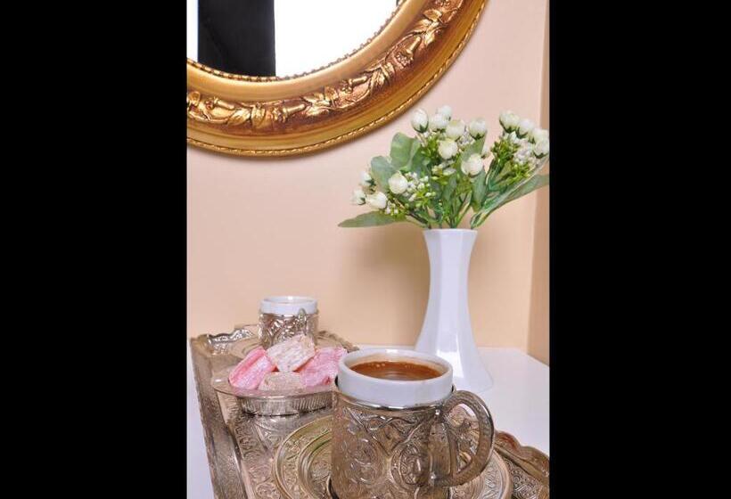 スタンダードルーム, Divani Ali