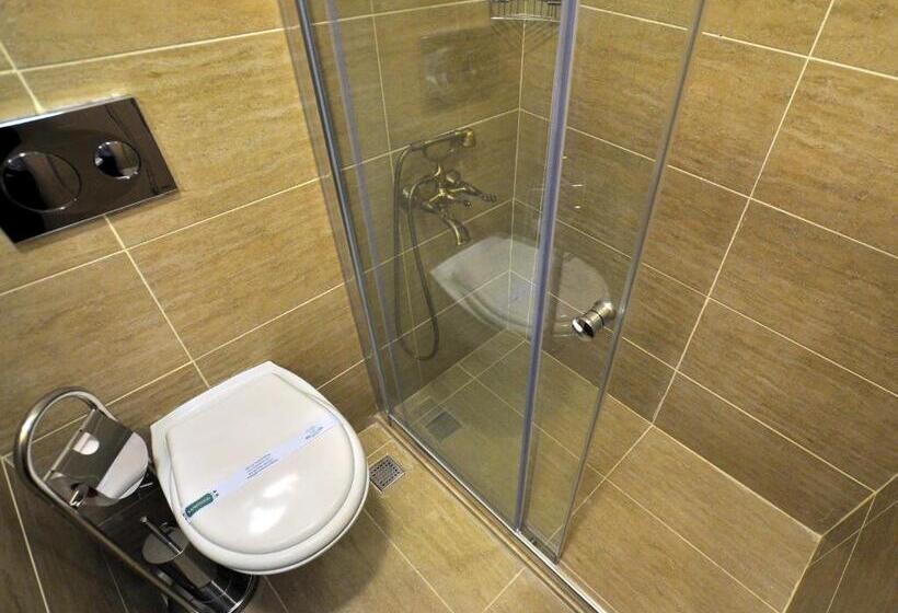 スタンダードルーム, Divani Ali