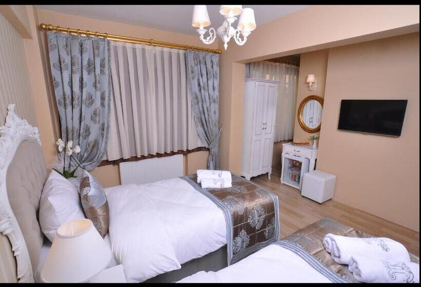 スタンダードルーム, Divani Ali