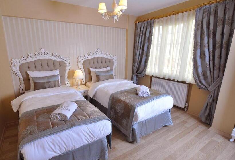 スタンダードルーム, Divani Ali