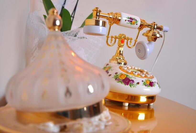 エコノミーシングルルーム, Divani Ali