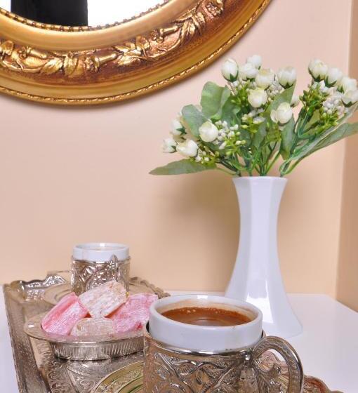 エコノミーシングルルーム, Divani Ali