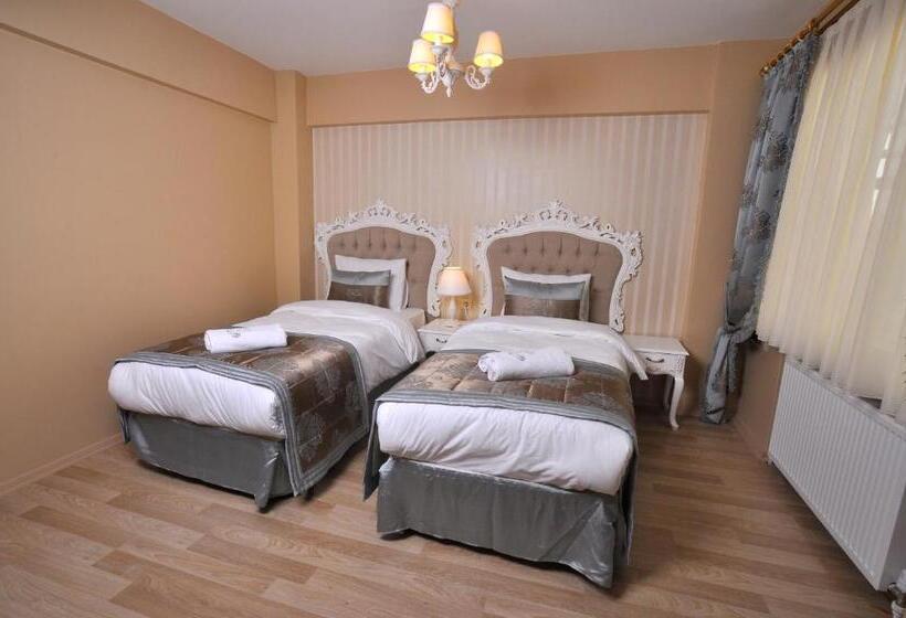 エコノミートリプルルーム, Divani Ali