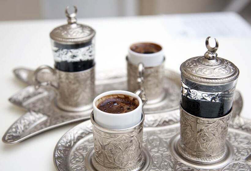 エコノミートリプルルーム, Divani Ali