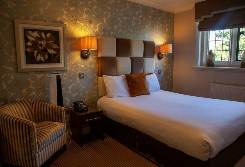 スタンダードルーム, Hopping Hare