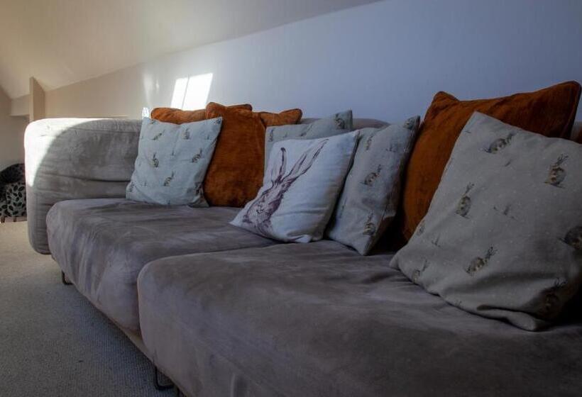 1ベッドルームアパートメント, Hopping Hare