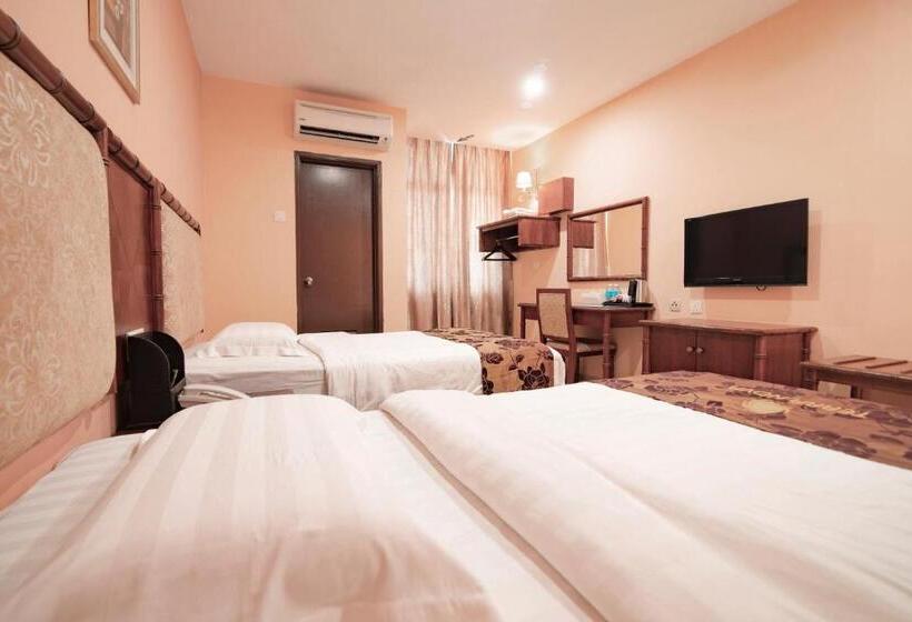 Quarto standard, Terra Nova