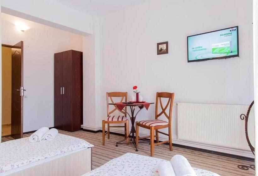 חדר סטנדרט, Pensiunea Boema Ploiesti