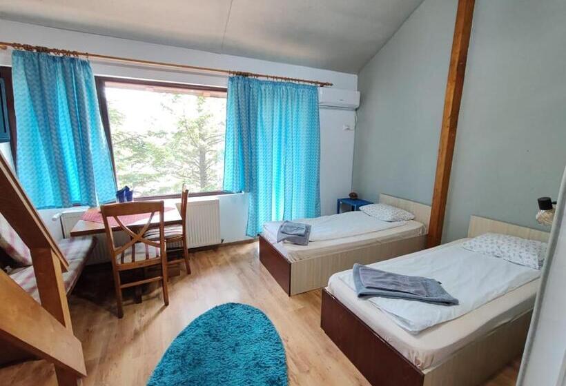 豪华套房, Pensiunea Boema Ploiesti