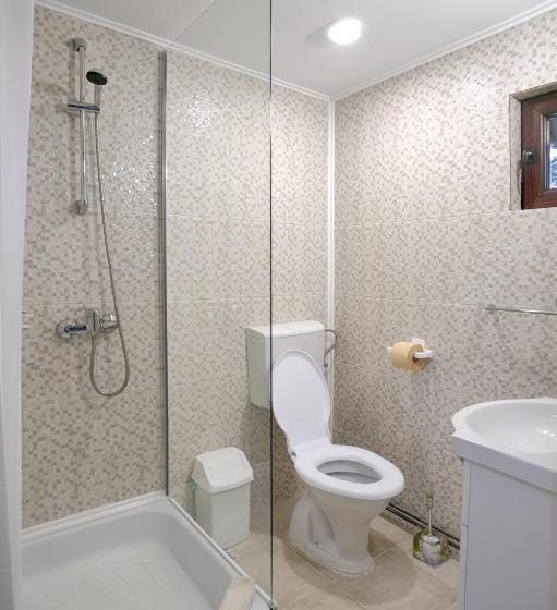 豪华套房, Pensiunea Boema Ploiesti