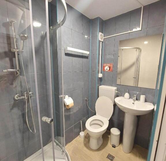 豪华房间, Pensiunea Boema Ploiesti