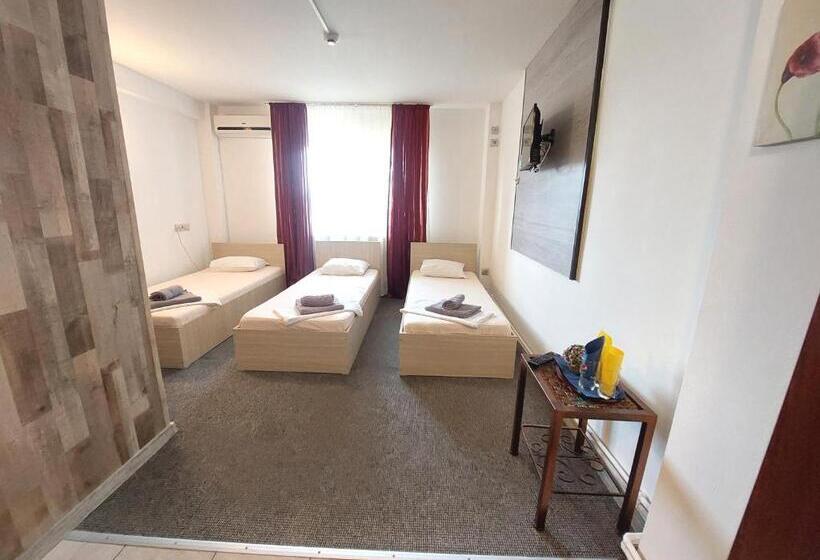 Трежместный Номер Economy, Pensiunea Boema Ploiesti