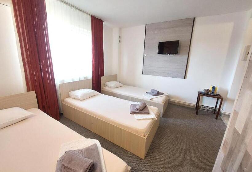 חדר אקונומי לשלושה, Pensiunea Boema Ploiesti