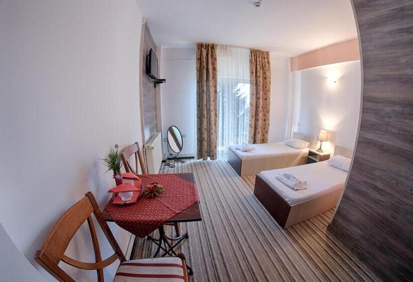 חדר סטנדרט, Pensiunea Boema Ploiesti