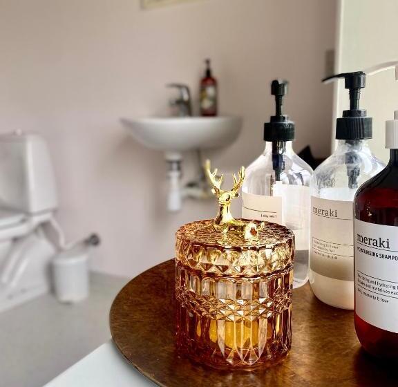 غرفة قياسية, Rønhave