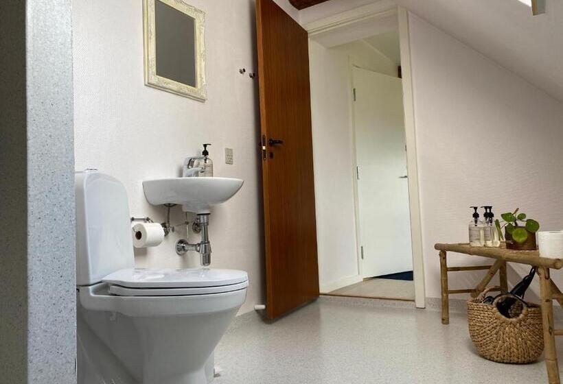 غرفة قياسية, Rønhave